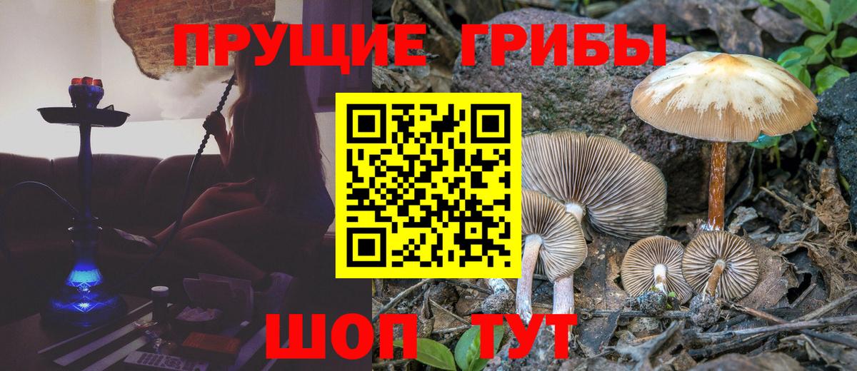 сколько стоит  Вход с VPN  Галлюциногенные грибы GOLDEN TEACHER  Куйбышев  Псилоцибиновые грибы Cubensis 